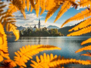 Монополія на онлайн-гемблінг у Європі відходить у минуле: Що дослідила EGBA