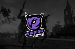 Украинская организация Windigo Gaming прекращает существование